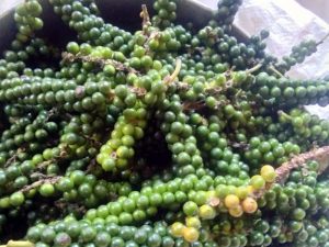 Organic Spices in kerala